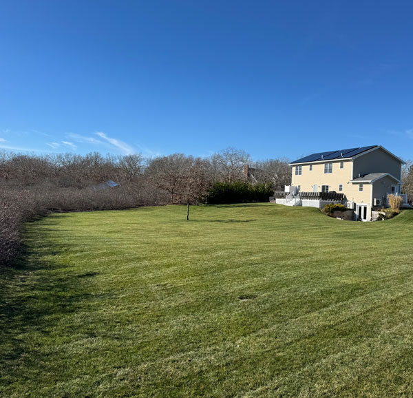 a house surrounded by a green lawn