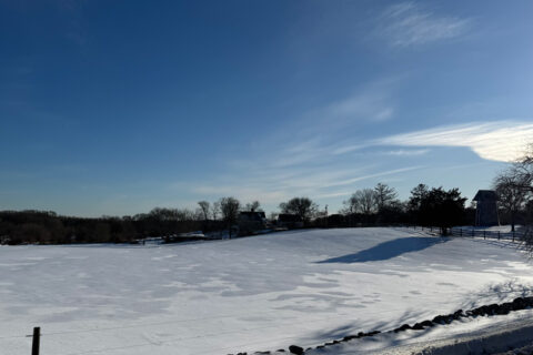 Snow-covered field under a clear blue sky with trees and buildings in the distance.